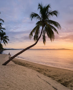 Palm trees on beach against sky during sunset