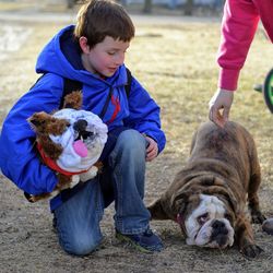 Cute boy crouching by dog on field