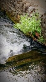 Rocks in stream