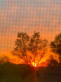 Silhouette trees on field against orange sky