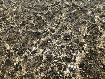 Full frame shot of rippled water