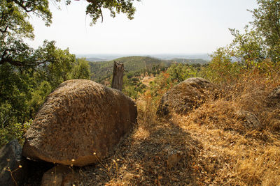 Hay bales on field against sky