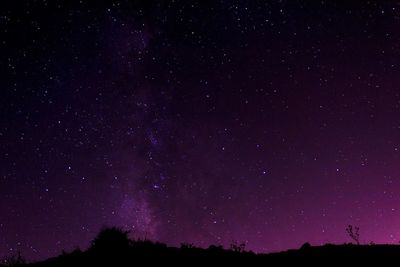 Scenic view of star field