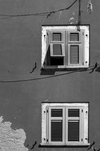 Bird perching on window