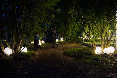 People standing by illuminated tree at night