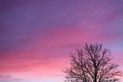 Low angle view of silhouette tree against sky during sunset