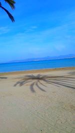 Scenic view of beach against blue sky