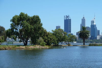Trees by river against sky in city