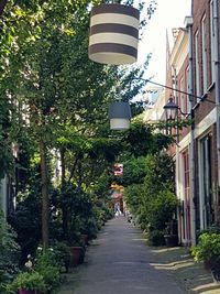 Footpath leading towards building