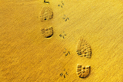 High angle view of footprints on sand