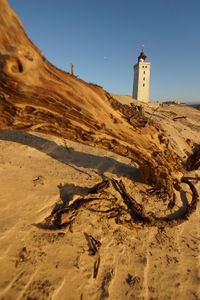 Close-up of driftwood at beach with rubjerg knude lighthouse in background