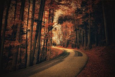 Road amidst trees in forest during autumn