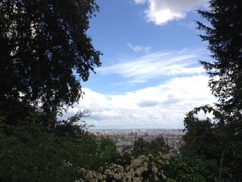 Trees and cityscape against sky