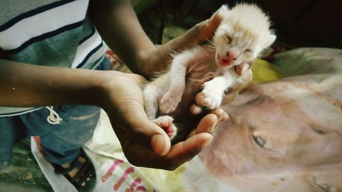 Cropped image of hand holding baby