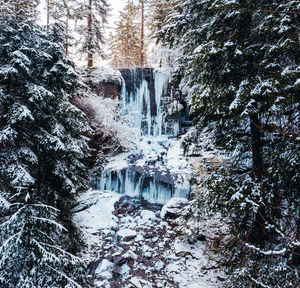 Scenic view of waterfall in forest during winter