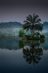 Palm trees by lake against sky