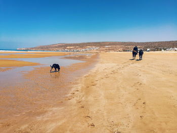 People walking on beach against clear sky