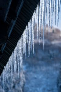 Low angle view of icicles hanging from roof