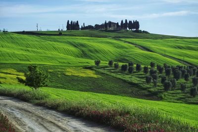 Scenic view of farm against sky in tuscany