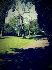 Empty road in park