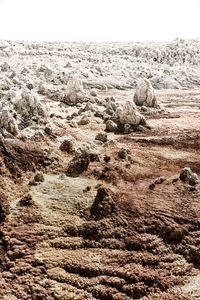 Scenic view of rocks on beach against sky