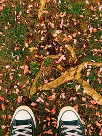 Low section of person standing on dry autumn leaves