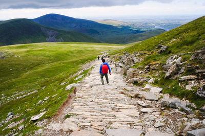 Rear view of man standing on mountain