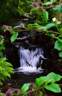 Close-up of waterfall