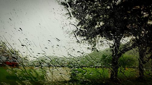 Close-up of water drops on glass