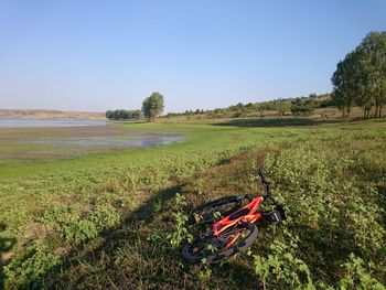 Scenic view of grassy field against clear sky