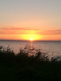 Scenic view of sea during sunset