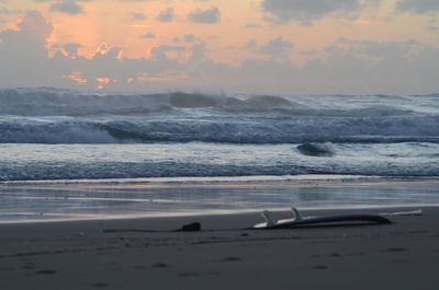 View of calm beach at sunset