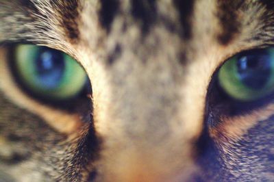Extreme close up of eye