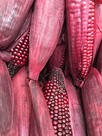 Directly above shot of maroon corn cob at market stall