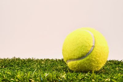 Close-up of tennis ball on grass against wall