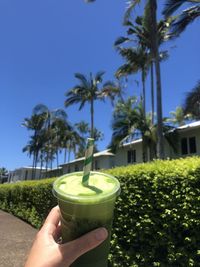 Cropped image of person holding drink against sky