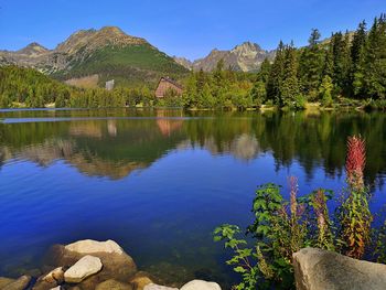 Scenic view of lake by trees against clear blue sky