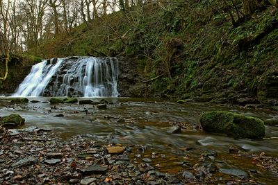 Waterfall in forest