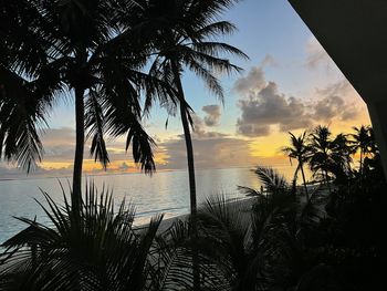 Silhouette palm trees by sea against sky at sunset