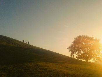 Scenic view of grassy field against sky at sunset