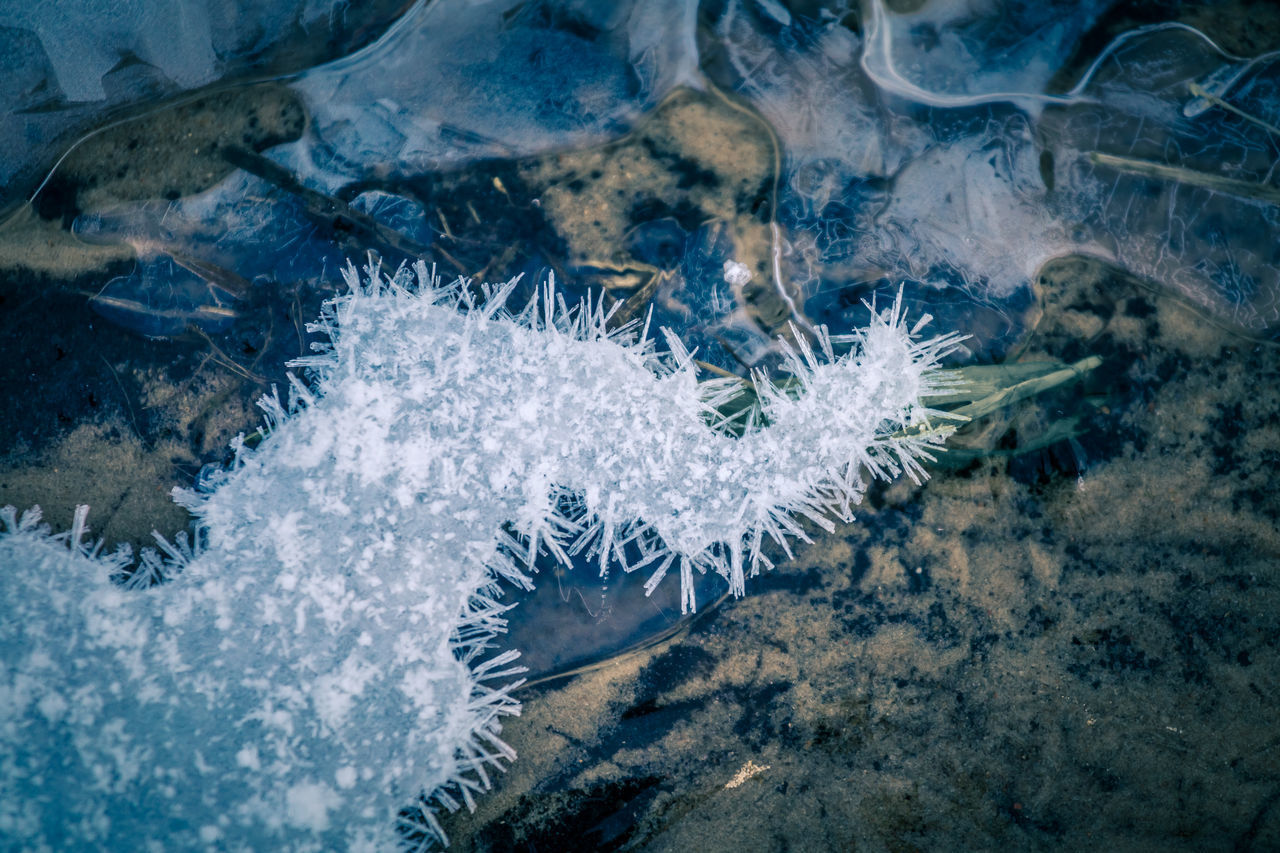 CLOSE-UP OF SNOW IN SEA