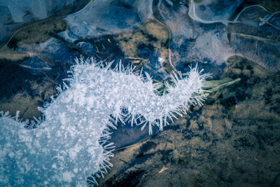 Close-up of frozen sea