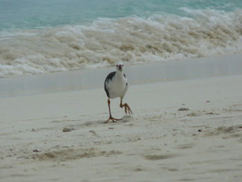 View of people on beach