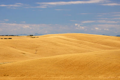 Hills and minimalism in tuscany