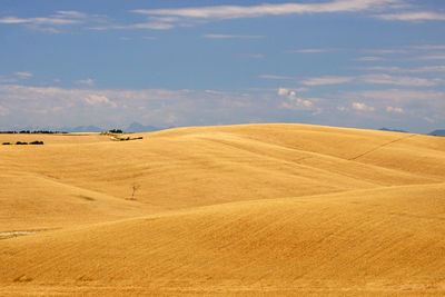 Scenic view of desert against sky