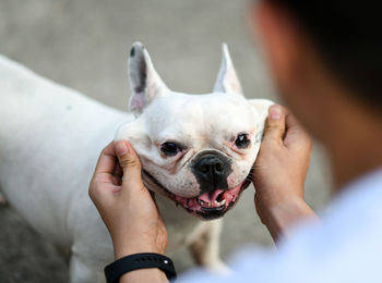 Close-up of man playing with dog on street