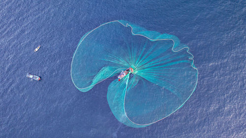 High angle view of blue umbrella