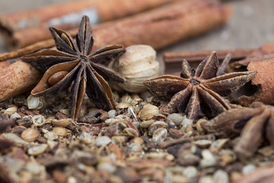 Close-up of dry leaves on wood