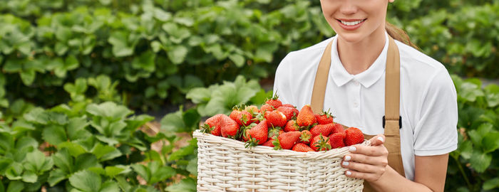 Midsection of man holding strawberry while standing in basket
