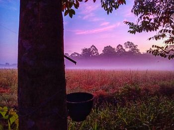 Scenic view of field against sky during sunset